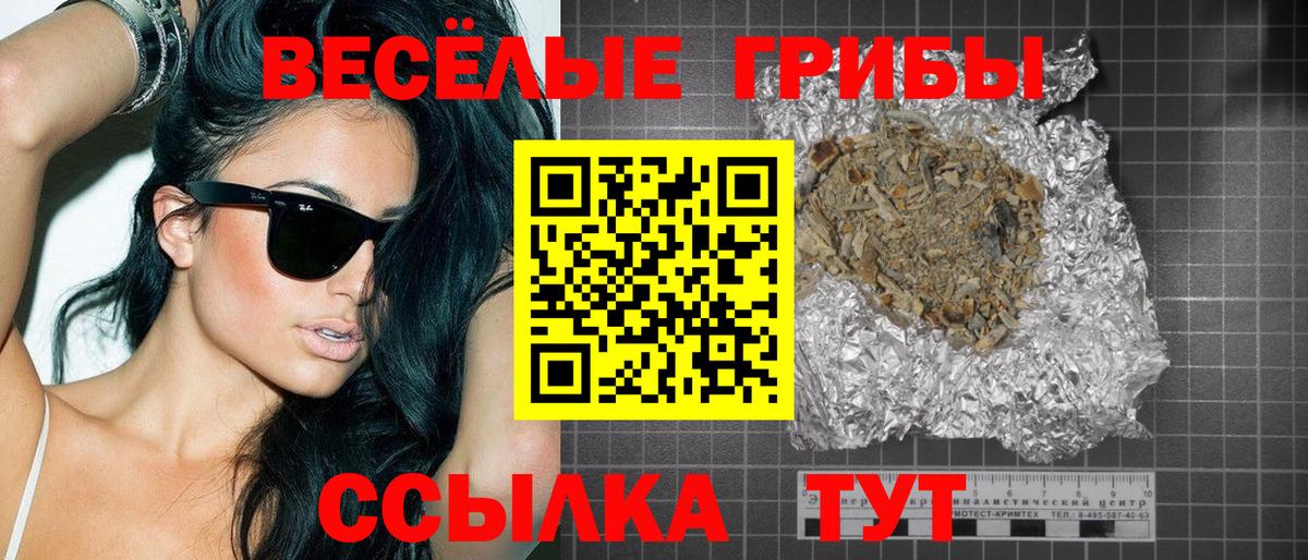 Губкинский  Псилоцибиновые грибы Magic Shrooms  Вход с VPN  даркнет сайт  Псилоцибиновые грибы MAGIC MUSHROOMS 