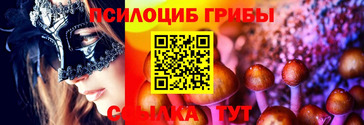 Галлюциногенные грибы Psilocybine cubensis Губкинский